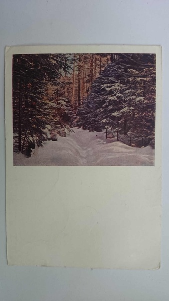 Карточка почтовая "Зимний лес"